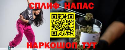 мдпв Бийск
