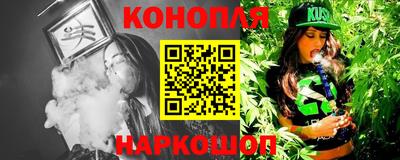 мдпв Бийск