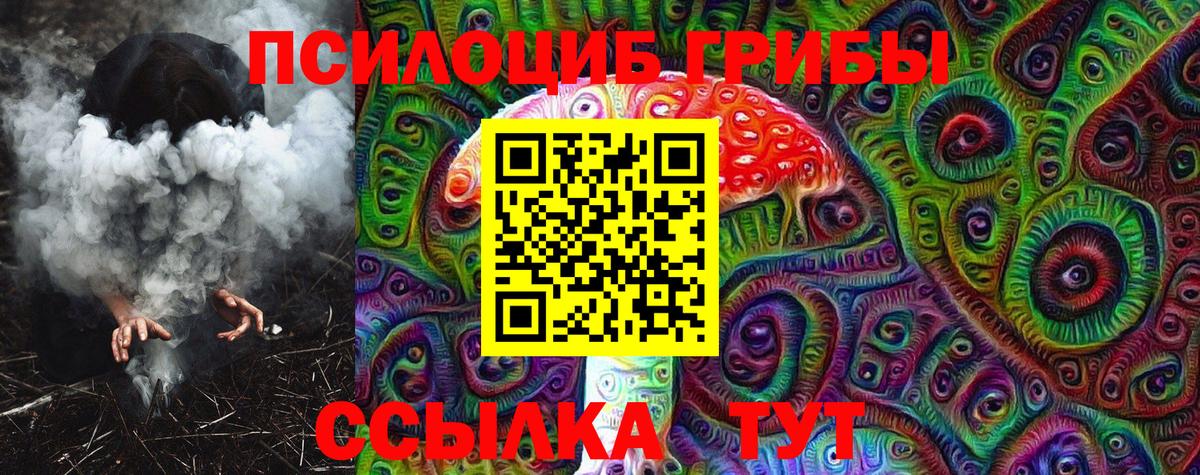 Кириши  Псилоцибиновые грибы Cubensis  Псилоцибиновые грибы MAGIC MUSHROOMS  Вход с VPN 